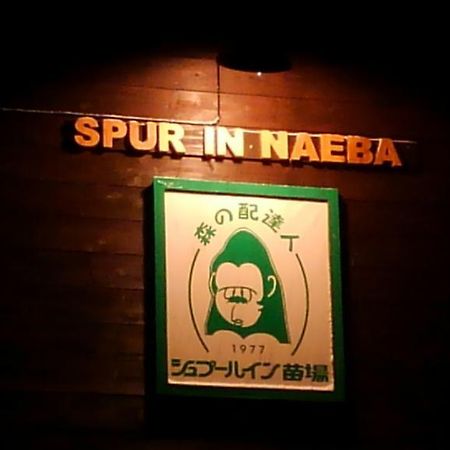 Spur In Naeba Vila Kusatsu  Exterior foto
